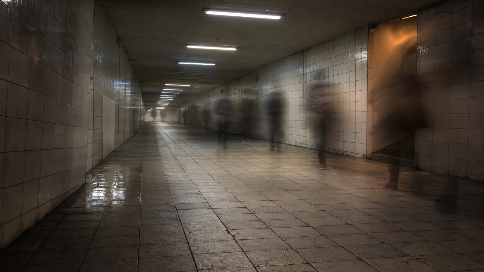 Crime Involving Foreign Nationals in Japan