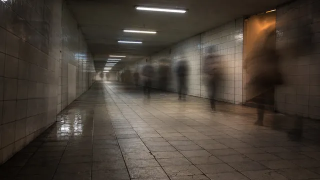 Crime Involving Foreign Nationals in Japan