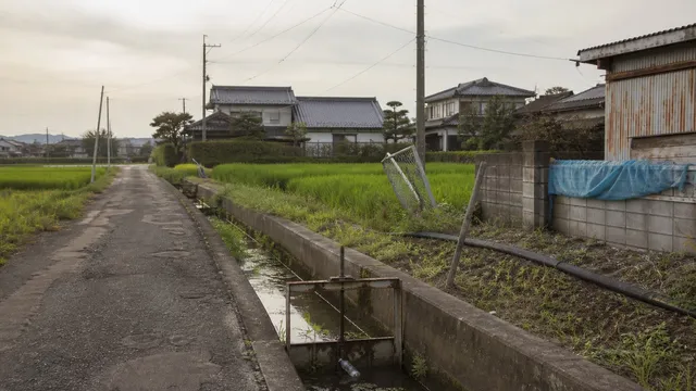 How Many People Go Missing in Japan?