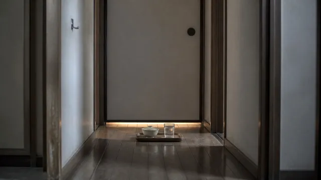 Why Are There So Many Hikikomori in Japan?